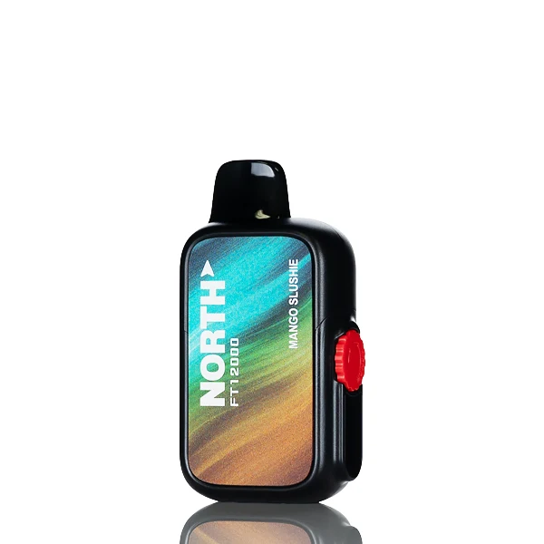 North FT12K 12000 Puffs Disposable Vape