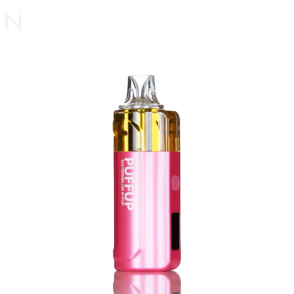 Puffup 25K 25000 Puffs Disposable Vape - 15mL