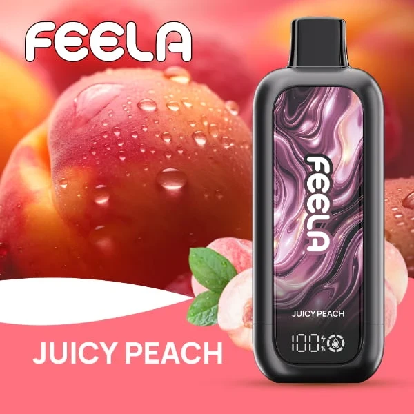 FEELA NIC 40K Disposable Vape