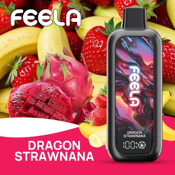 FEELA NIC 40K Disposable Vape