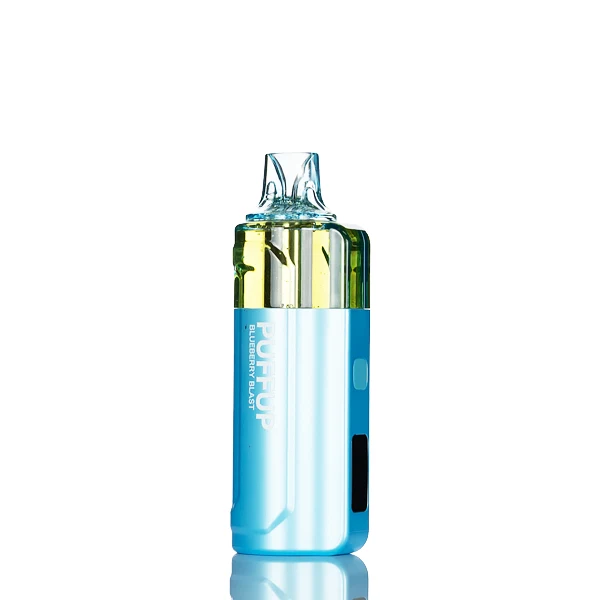 Puffup 25K 25000 Puffs Disposable Vape - 15mL