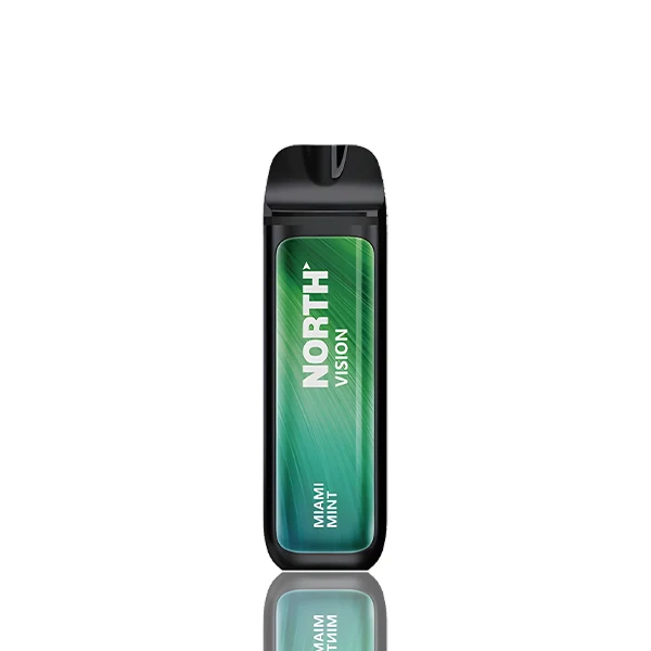 North Vision 15000 Puffs Disposable - 15mL
