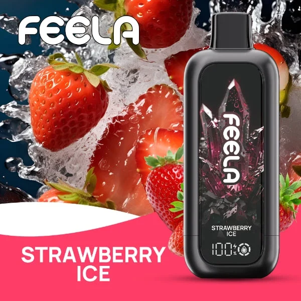 FEELA NIC 40K Disposable Vape