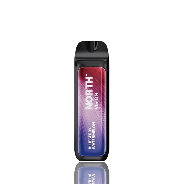 North Vision 15000 Puffs Disposable - 15mL