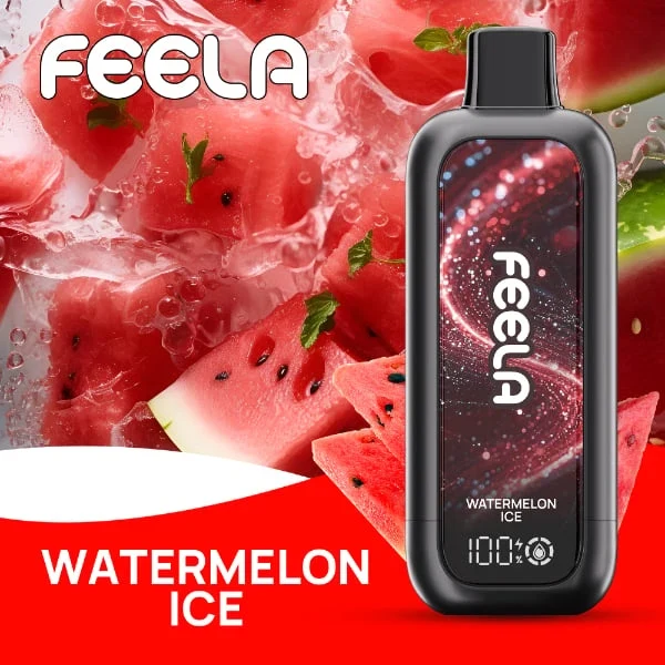 FEELA NIC 40K Disposable Vape