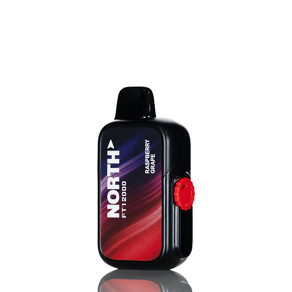 North FT12K 12000 Puffs Disposable Vape