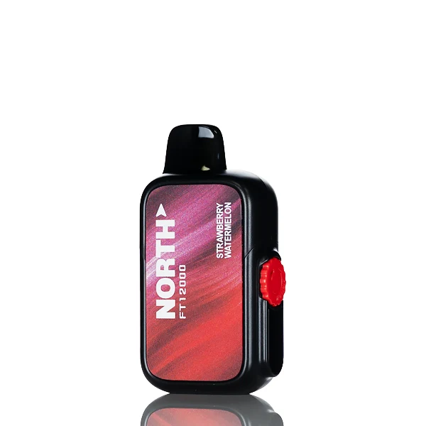 North FT12K 12000 Puffs Disposable Vape