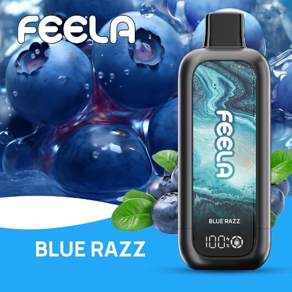 FEELA NIC 40K Disposable Vape