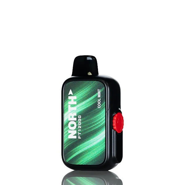North FT12K 12000 Puffs Disposable Vape