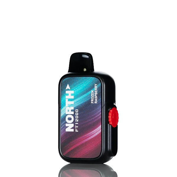 North FT12K 12000 Puffs Disposable Vape