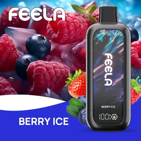 FEELA NIC 40K Disposable Vape