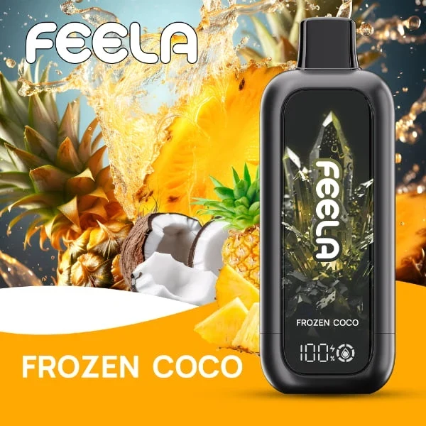 FEELA NIC 40K Disposable Vape