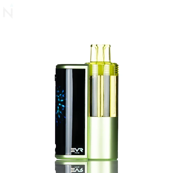 EVRFOG 100K Refillable Disposable Kit
