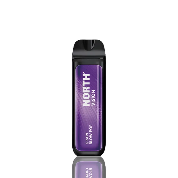 North Vision 15000 Puffs Disposable - 15mL